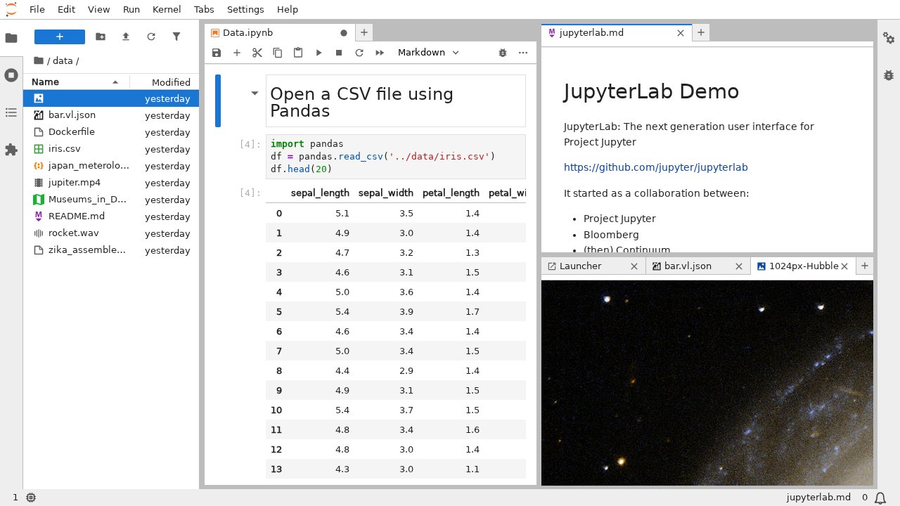 JupyterLab 4.6 main interface JupyterLab 4.6 main interface showing the file browser sidebar, notebook editor, kernel indicator, and launcher with multiple kernels available