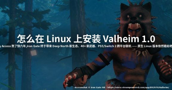 怎么在 Linux 上安装 Valheim 1.0 (2026)